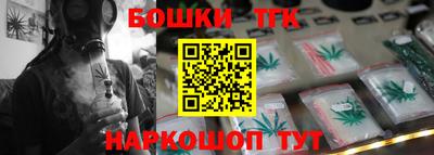 прущие грибы Усть-Джегута