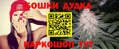 прущие грибы Усть-Джегута